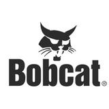Bobcat